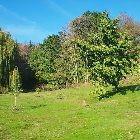 Moderne Kellerwohnung Fuer Handwerker Zwischen Braunschweig Und Wolfsburg, Mit Internet, Kueche, Parkplatz, 24H Check-In Schandelah 外观 照片
